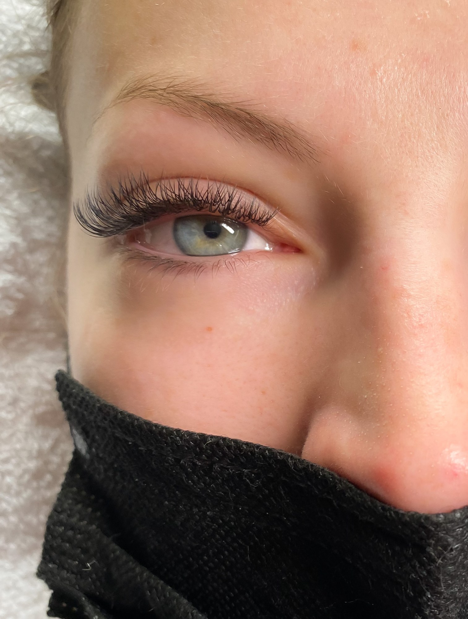 Do Lash Extensions Damage Your, cover — The Bronze Lily, St. Petersburg, FL