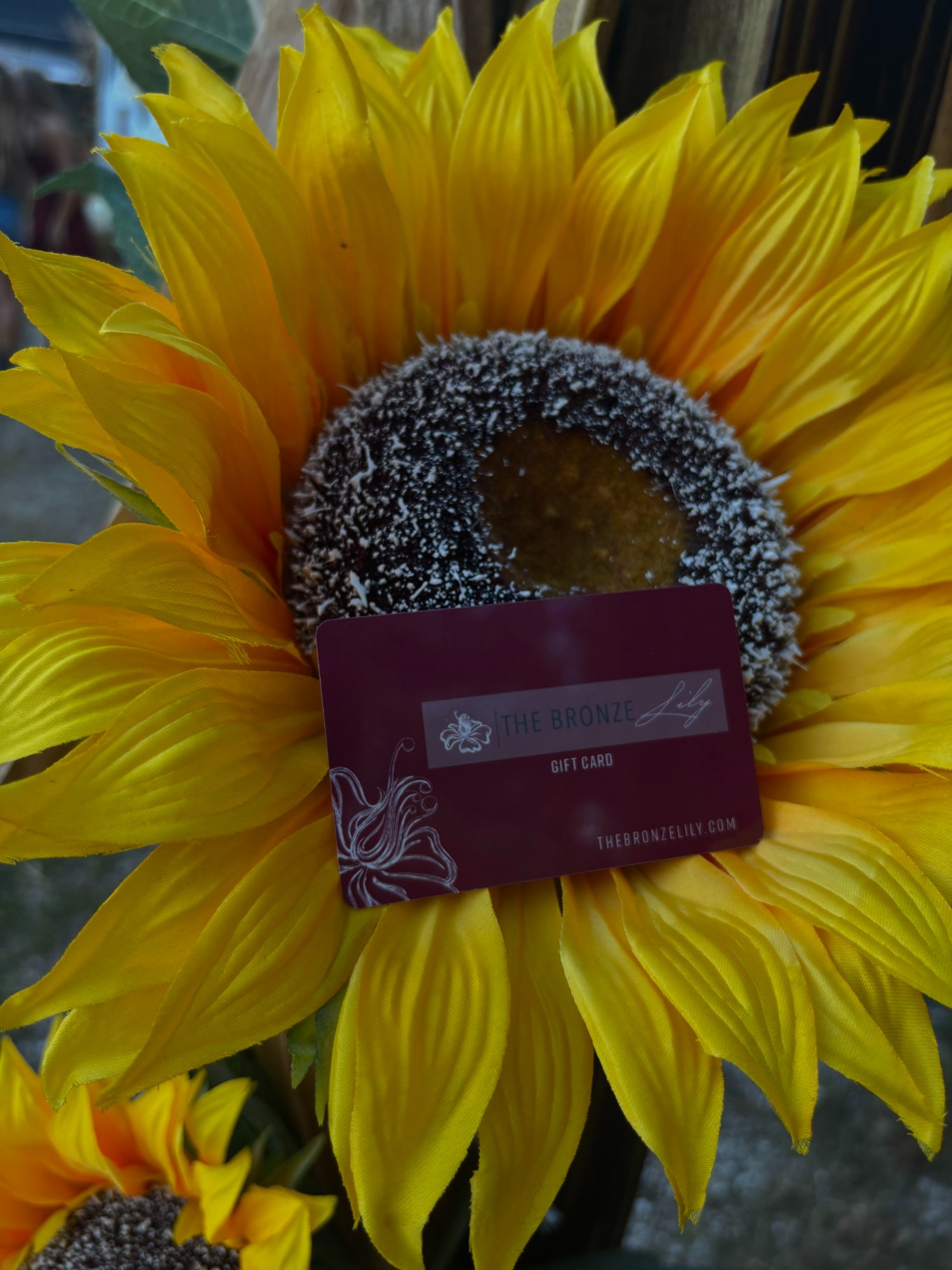 Gift card, any reason — The Bronze Lily, St. Petersburg, FL