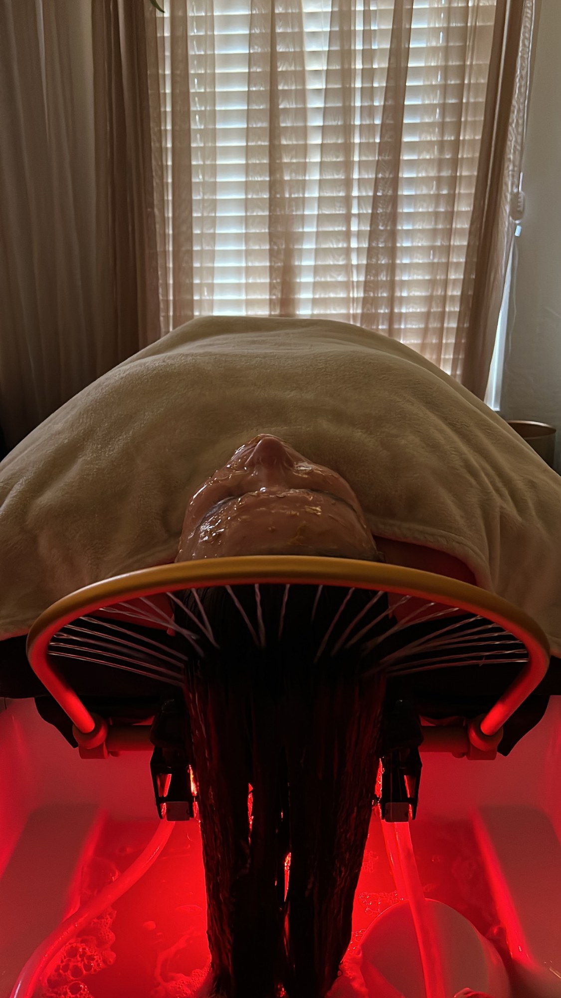 Head spa, what to expect — The Bronze Lily, St. Petersburg, FL