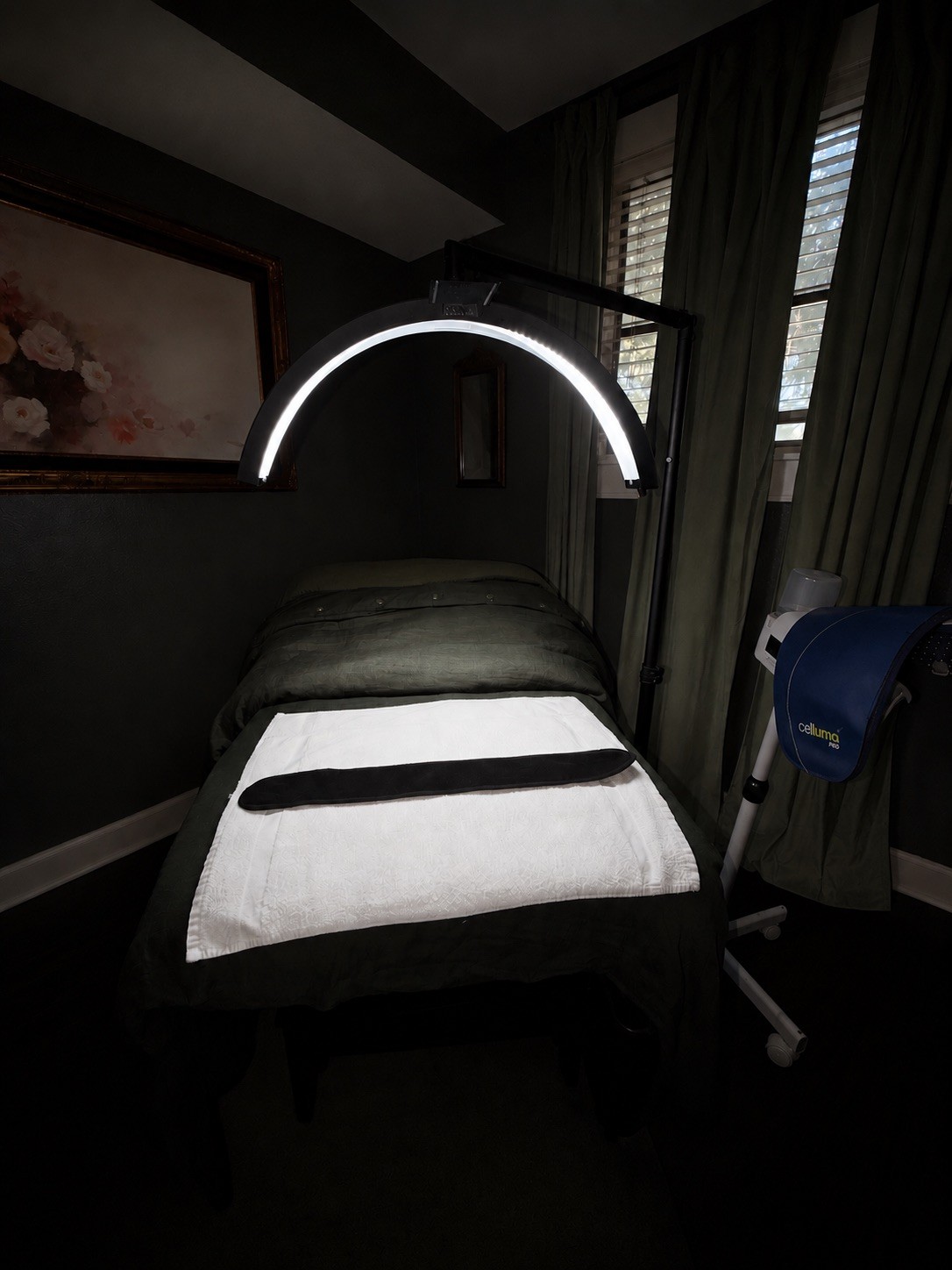 Spa Open Early (7 AM) — The Bronze Lily, St. Petersburg, FL
