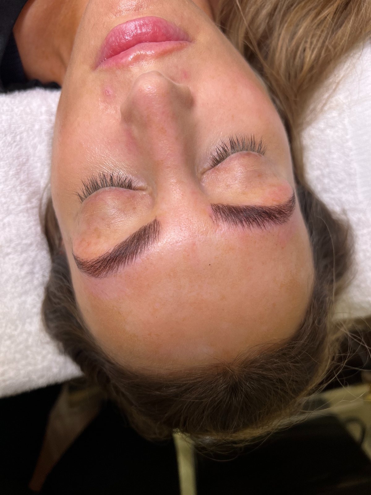 Lamination vs microblading, cover — The Bronze Lily, St. Petersburg, FL
