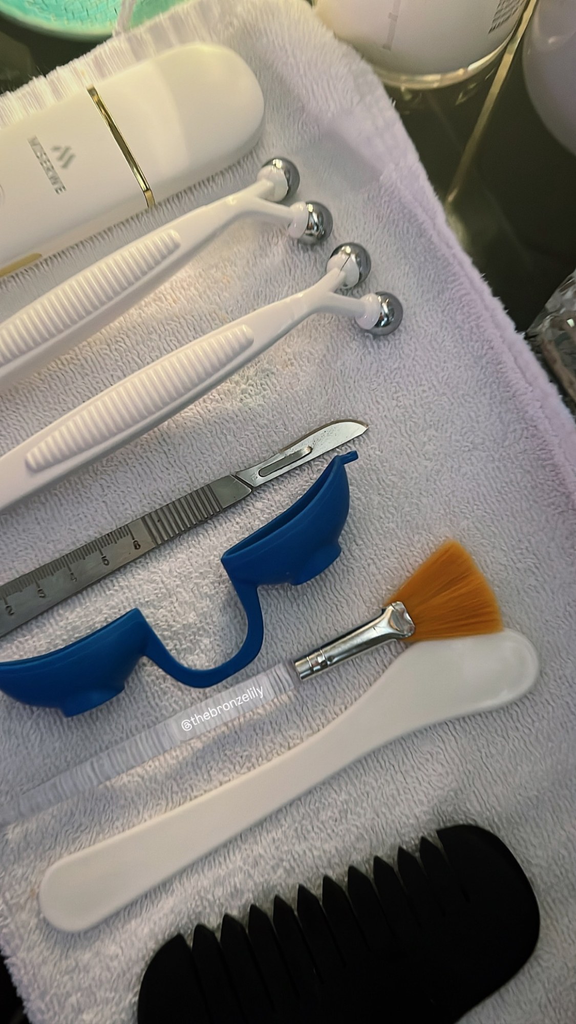Which Facial Is Right for You?, cover — The Bronze Lily, St. Petersburg, FL